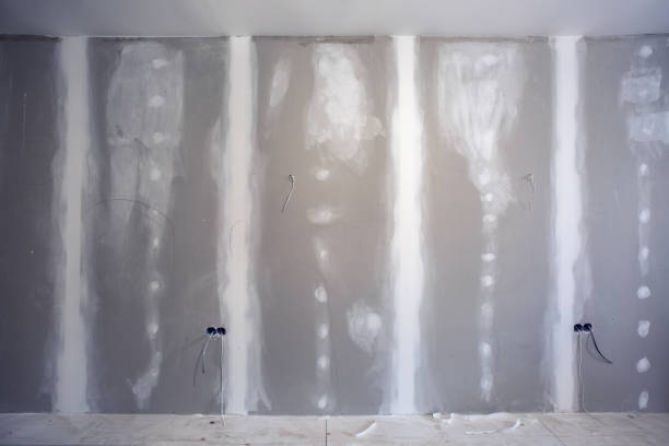 Best Fire-Damaged Drywall Repair  in Auburn, WA